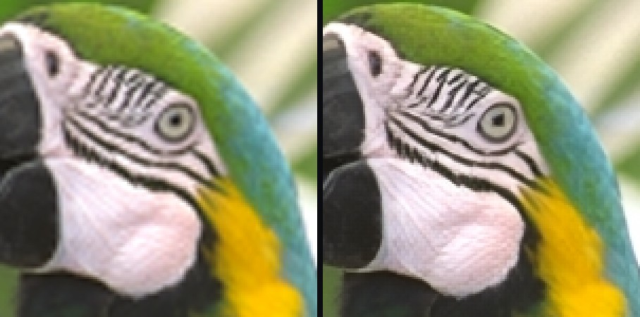 Plumes : bicubique vs DeepPhi ×2