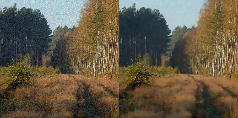 Autumn forest path