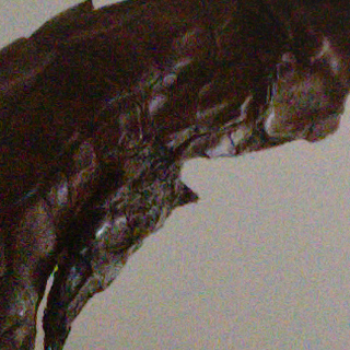 Bronze, ISO 6400