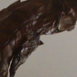 Bronze, ISO 6400