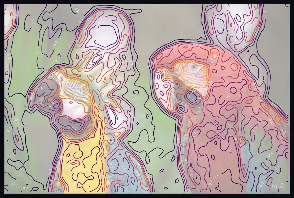 The same values as isolines — a topographic map of structure, traced to the pixel.